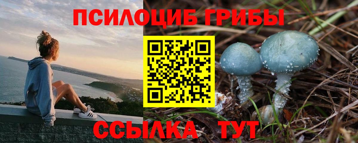 Псилоцибиновые грибы MAGIC MUSHROOMS  Вход с VPN  Кудрово  хочу наркоту  Галлюциногенные грибы Psilocybe 